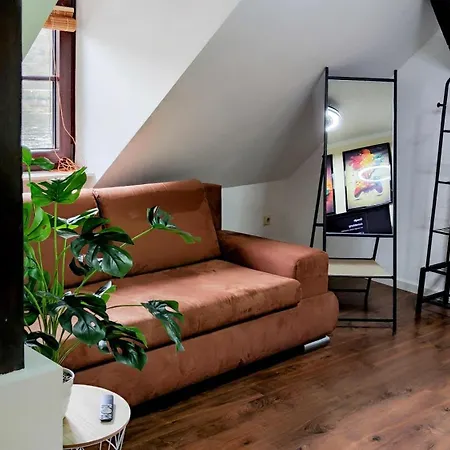 Direkt Am Rhein Mit Burgblick Nahe Rheinsteig Bis 8 Personen, 2 Baeder, 4 Zimmer, Kueche, Netflix * 考布