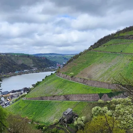 Direkt Am Rhein Mit Burgblick Nahe Rheinsteig Bis 8 Personen, 2 Baeder, 4 Zimmer, Kueche, Netflix