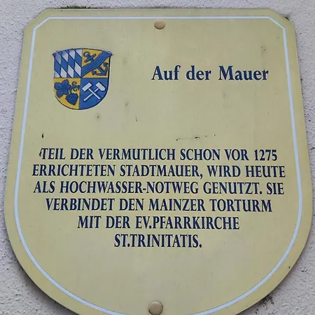 公寓 Direkt Am Rhein Mit Burgblick Nahe Rheinsteig Bis 8 Personen, 2 Baeder, 4 Zimmer, Kueche, Netflix *