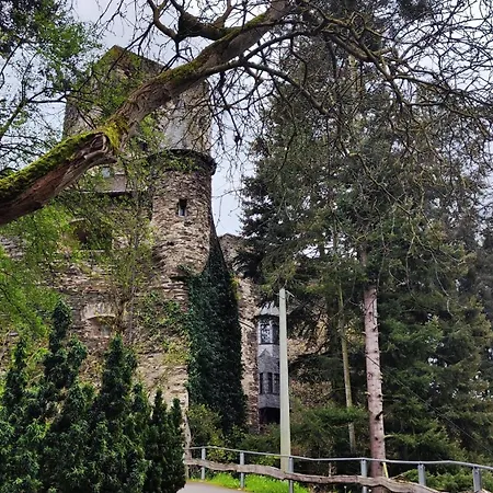 Direkt Am Rhein Mit Burgblick Nahe Rheinsteig Bis 8 Personen, 2 Baeder, 4 Zimmer, Kueche, Netflix * Kaub