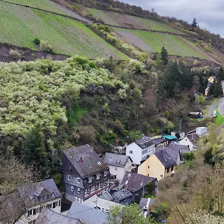 Direkt Am Rhein Mit Burgblick Nahe Rheinsteig Bis 8 Personen, 2 Baeder, 4 Zimmer, Kueche, Netflix *