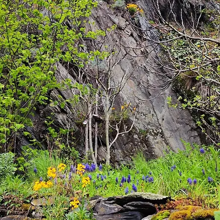 Direkt Am Rhein Mit Burgblick Nahe Rheinsteig Bis 8 Personen, 2 Baeder, 4 Zimmer, Kueche, Netflix 公寓