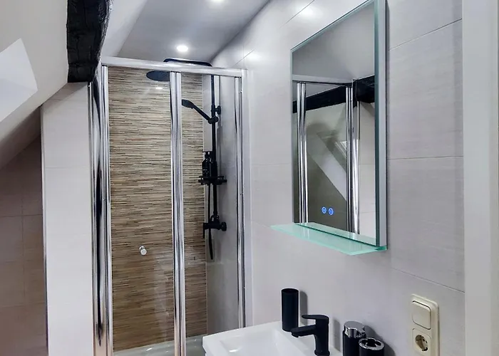 Direkt Am Rhein Mit Burgblick Nahe Rheinsteig Bis 8 Personen, 2 Baeder, 4 Zimmer, Kueche, Netflix Apartamento