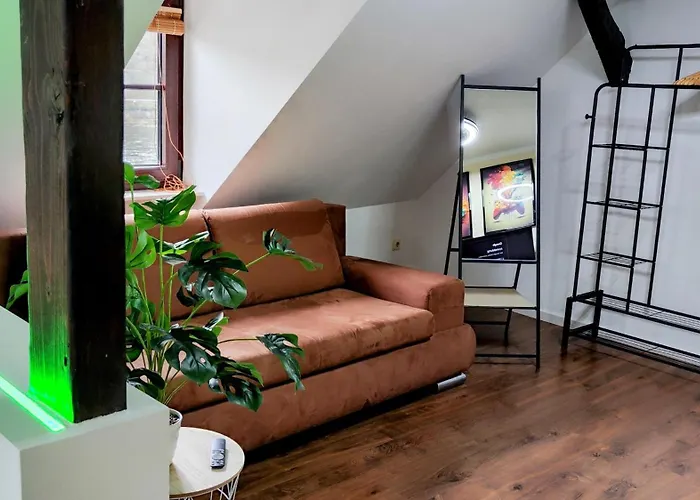 Direkt Am Rhein Mit Burgblick Nahe Rheinsteig Bis 8 Personen, 2 Baeder, 4 Zimmer, Kueche, Netflix * Kaub