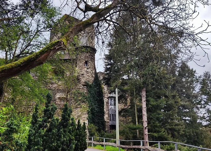 Direkt Am Rhein Mit Burgblick Nahe Rheinsteig Bis 8 Personen, 2 Baeder, 4 Zimmer, Kueche, Netflix * Kaub