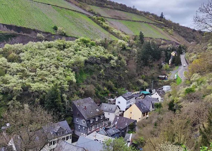 Direkt Am Rhein Mit Burgblick Nahe Rheinsteig Bis 8 Personen, 2 Baeder, 4 Zimmer, Kueche, Netflix *