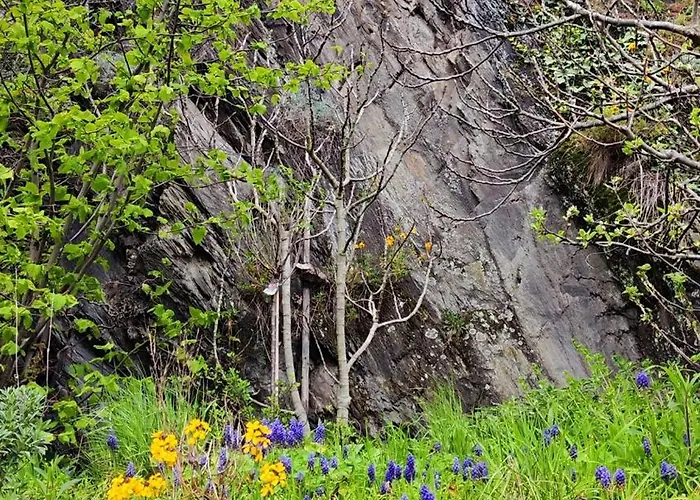 Direkt Am Rhein Mit Burgblick Nahe Rheinsteig Bis 8 Personen, 2 Baeder, 4 Zimmer, Kueche, Netflix Apartamento
